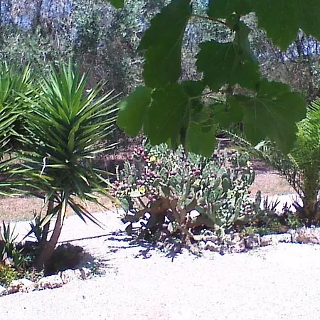 乡村民宿 La Pila Masseria Salentina Con Piscina 3 Con 6 Pl Si Animali Domestici *